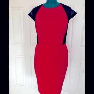 Breathtaking Cache dress, size 12.